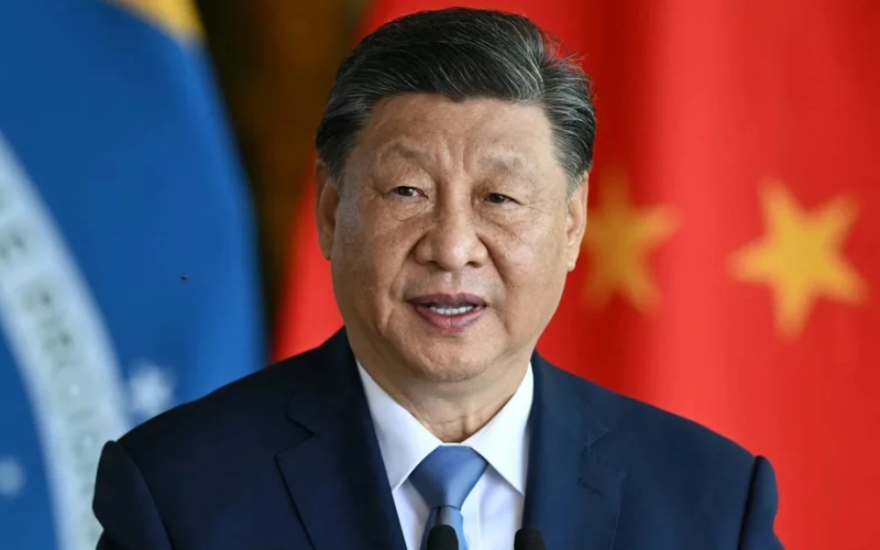 Giải pháp chính phủ